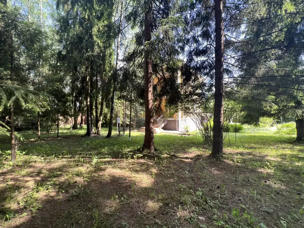 Дом в Московская область, Одинцовский городской округ, Кезьмино СНТ ... - Фото 2