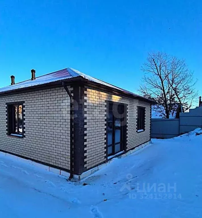 Дом в Амурская область, Благовещенский район, с. Чигири пер. Луговой, ... - Фото 2