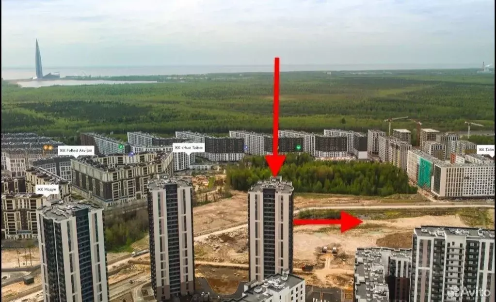 Студия Санкт-Петербург просп. Авиаконструкторов, 69 (26.6 м) - Фото 0