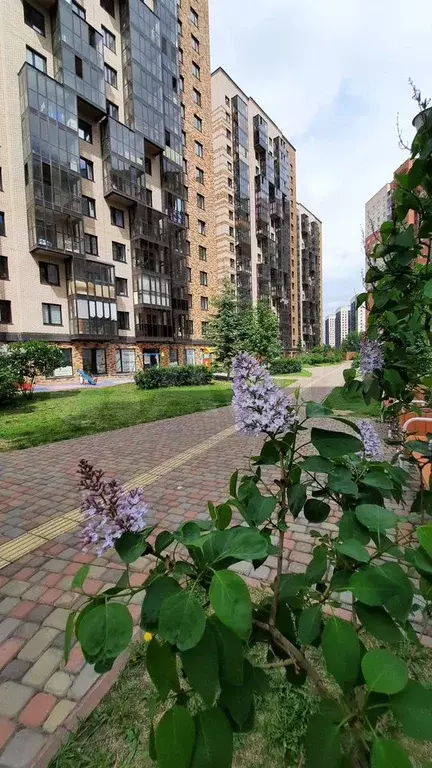 3-к. квартира, 68,6 м, 15/17 эт. - Фото 1