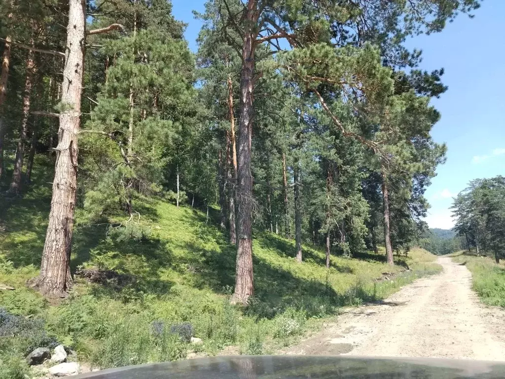 Участок в Алтай, Майминский район, с. Манжерок ул. Веселая (10.0 сот.) - Фото 1