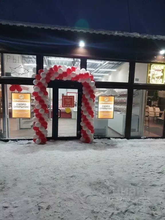 Торговая площадь в Санкт-Петербург ул. Пионерстроя, 8 (15 м) - Фото 2