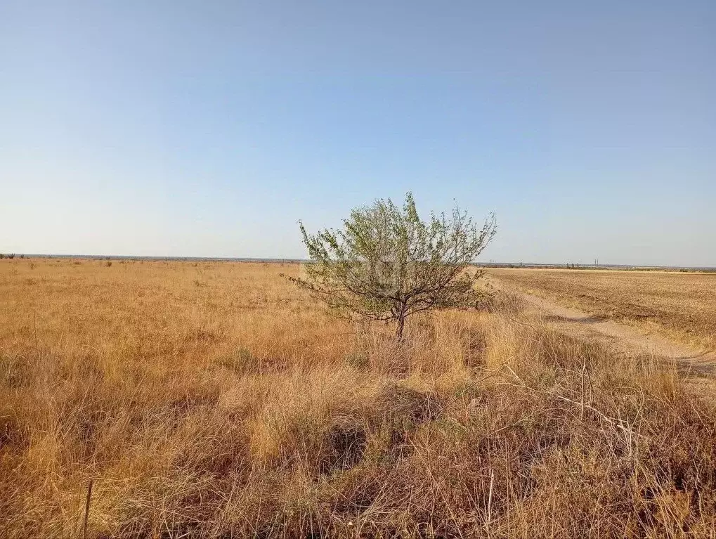 Участок в Крым, Кировский район, с. Приветное ул. Ленина (986.8 сот.) - Фото 0