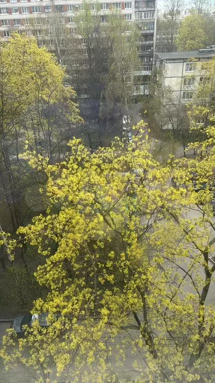 1-к. квартира, 31 м, 7/12 эт. - Фото 0