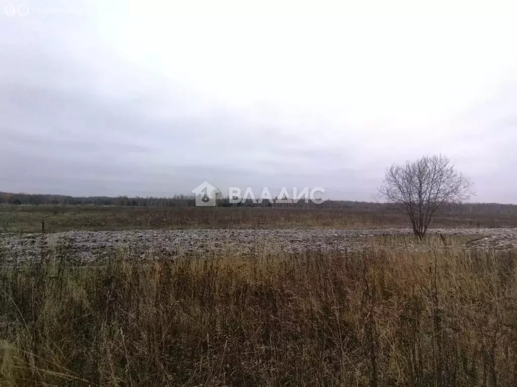 Участок в Московская область, городской округ Коломна, деревня Гришино ... - Фото 1