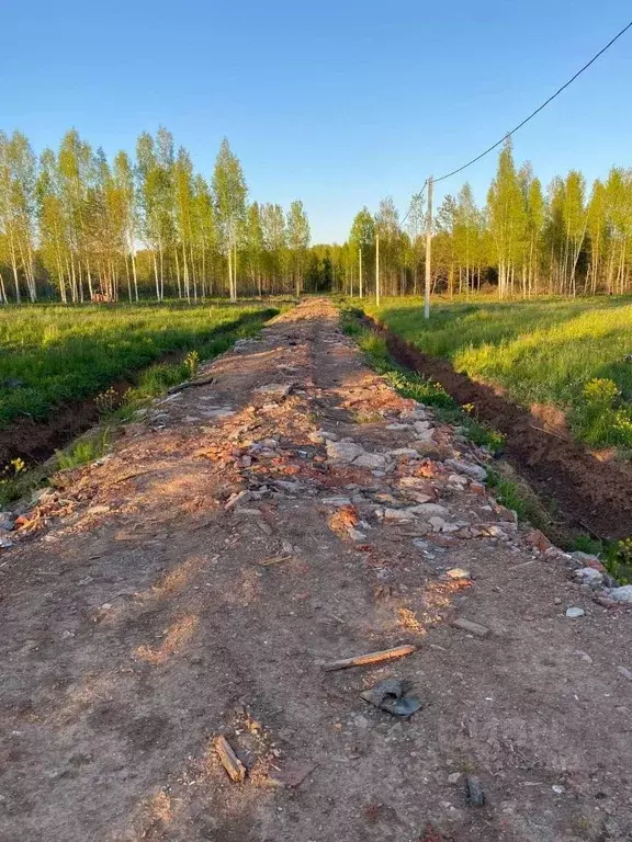 Участок в Новгородская область, Новгородский район, Бронницкое с/пос, ... - Фото 1