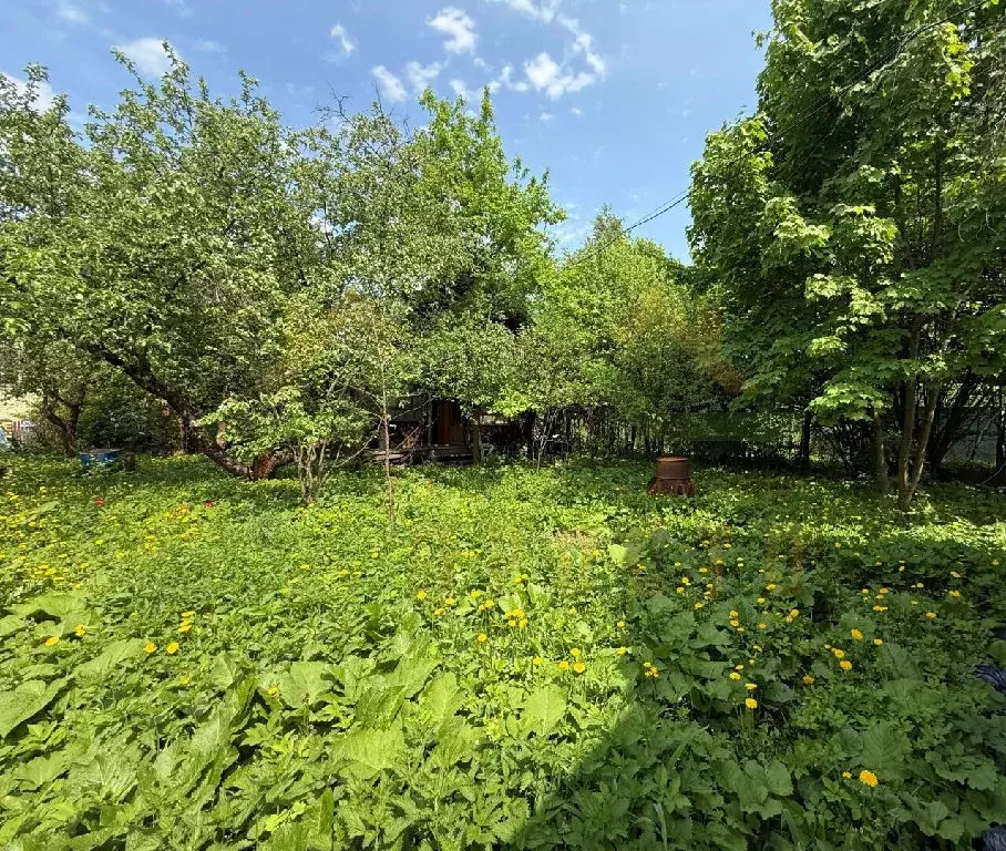 Продается дача в СНТ Яблоко-1 - Фото 1