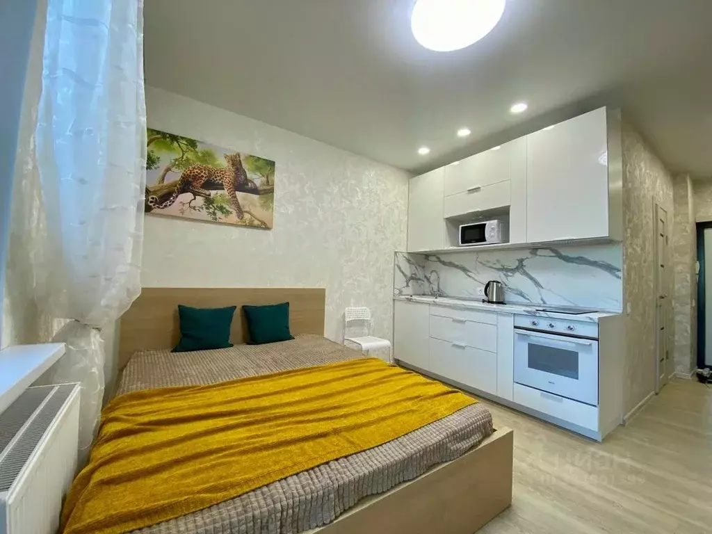 Студия Санкт-Петербург дор. Кушелевская, 7к1 (24.0 м) - Фото 1