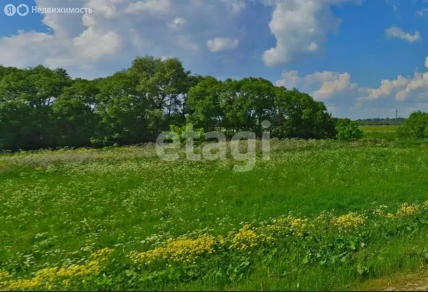 Участок в Тульская область, муниципальное образование Тула, село ... - Фото 1