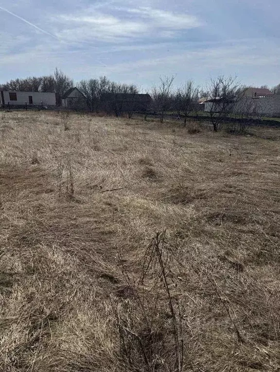 Участок в Воронежская область, Новоусманский район, Тимирязевское ... - Фото 0