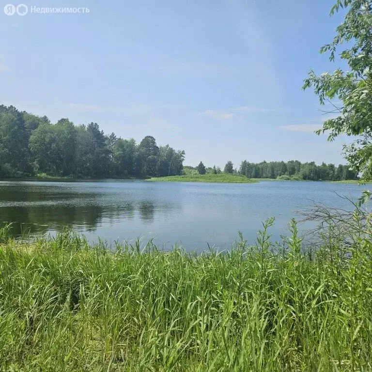 Участок в Тюменский район, деревня Ушакова, Тихая улица (40 м) - Фото 0