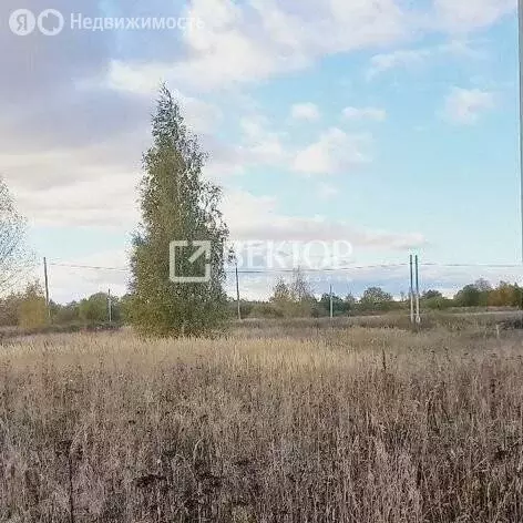 Участок в Кострома (7.1 м) - Фото 1