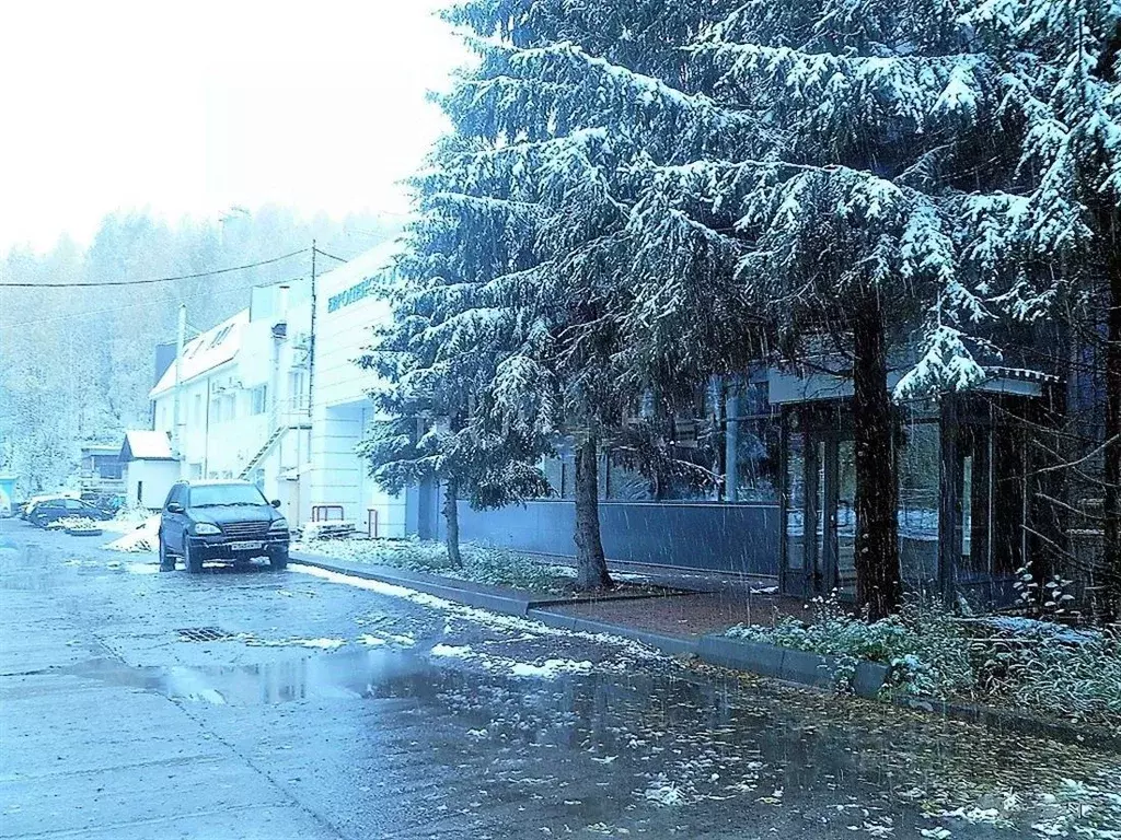 Склад в Томская область, Томск ул. Елизаровых, 97/8 (301.2 м) - Фото 1