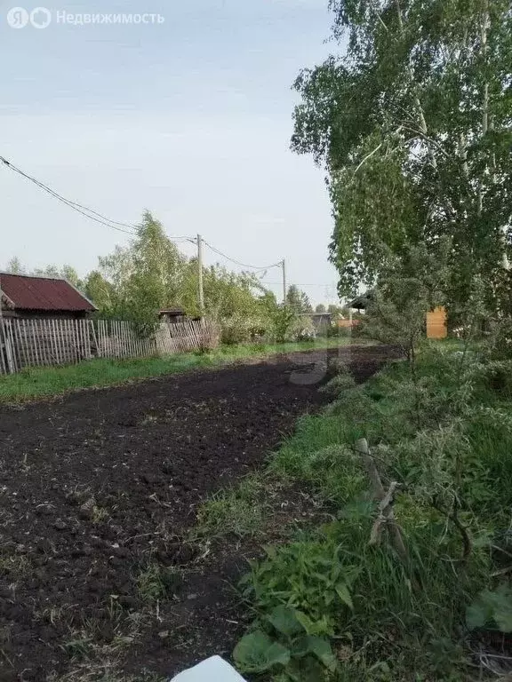 Участок в Красноярский край, Емельяновский муниципальный округ, СНТ ... - Фото 2