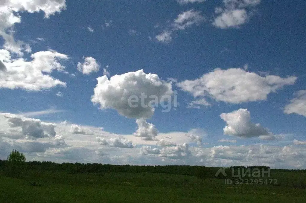 Участок в Калужская область, Козельский муниципальный округ, Покровск ... - Фото 1