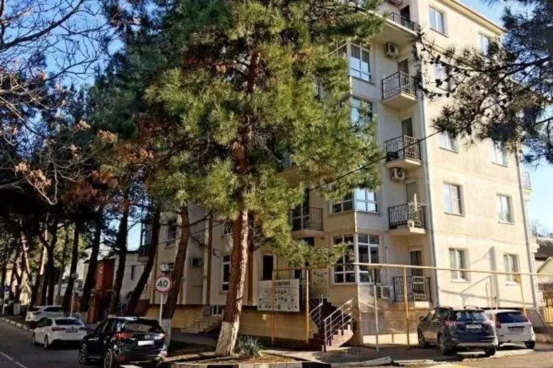 1-к кв. Краснодарский край, Геленджик Красногвардейская ул., 73 (50.0 ... - Фото 1