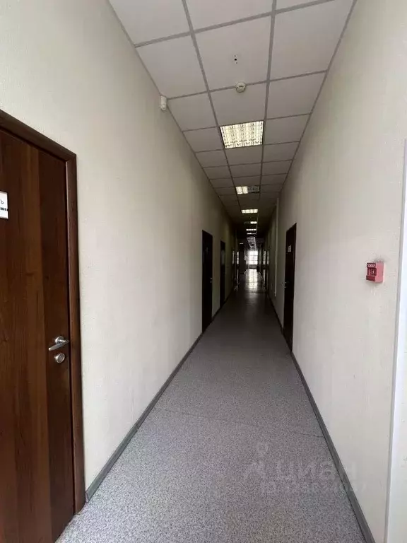 Офис в Новосибирская область, Новосибирск Каменская ул., 64А (13 м) - Фото 2
