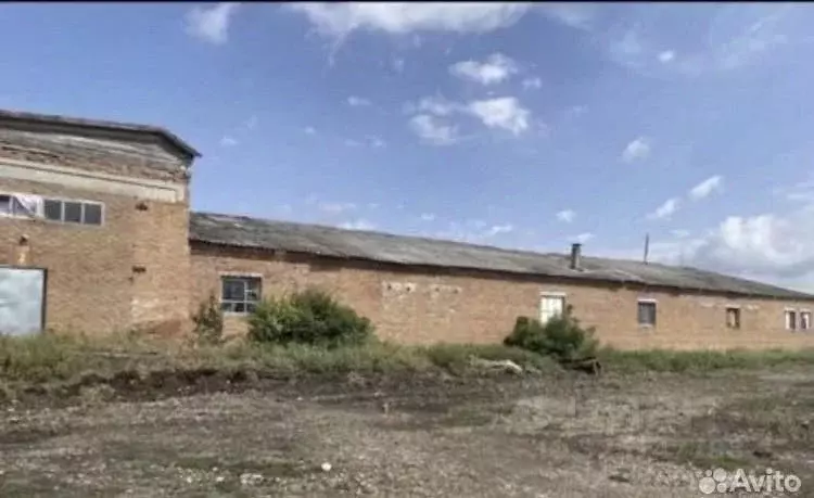 Производственное помещение в Краснодарский край, Кавказский район, ... - Фото 1
