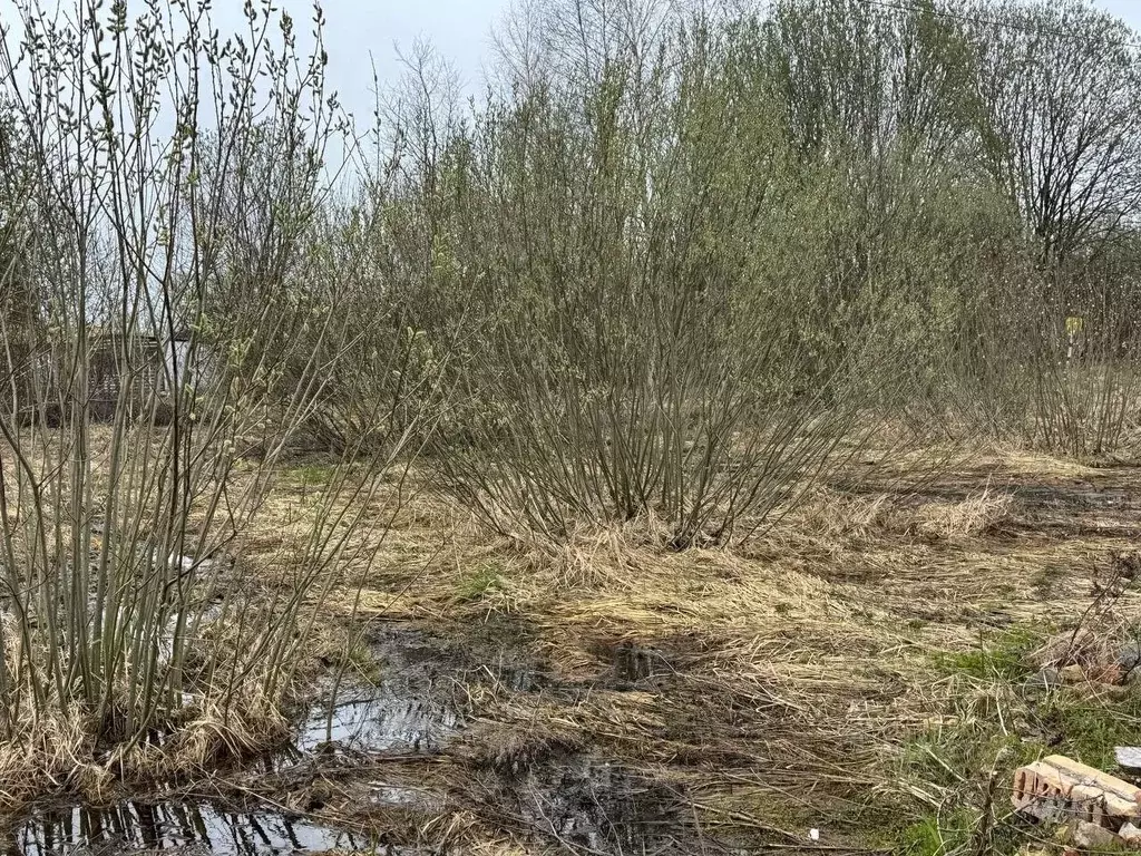 Участок в Московская область, Богородский городской округ, д. Старые ... - Фото 1