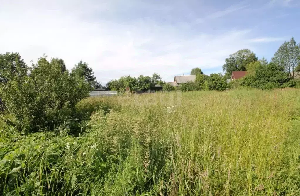 Участок в Вологодская область, Шекснинский район, Никольское с/пос, д. ... - Фото 1