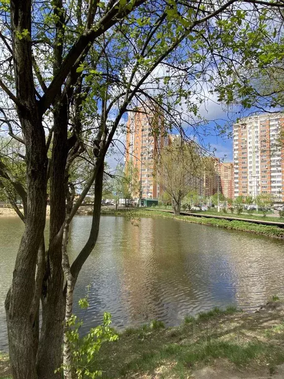 Квартира, 1 комната, 37.29 м - Фото 0