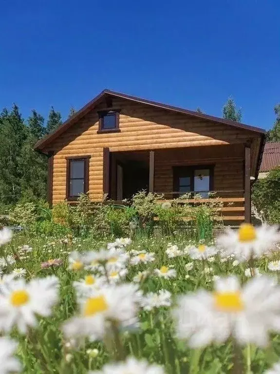 Участок в Тверская область, Конаковский муниципальный округ, Березка ... - Фото 2