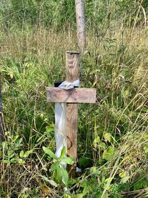 Участок в Калужская область, Малоярославецкий муниципальный округ, ... - Фото 2