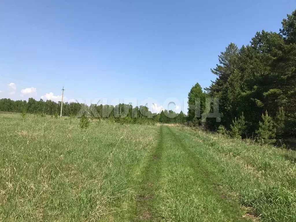 Участок в Новосибирская область, Ордынский район, с. Красный Яр  ... - Фото 0