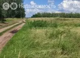 Участок в муниципальный округ Омский район, село Усть-Заостровка (16 ... - Фото 2