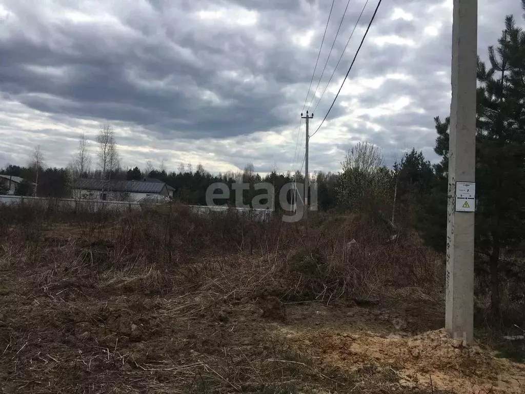 Участок в Вологодская область, Череповецкий район, Югское ... - Фото 1