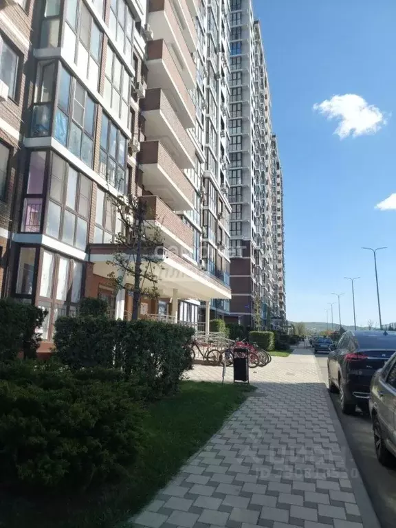 Студия Краснодарский край, Анапа Анапское ш., 24к6 (26.0 м) - Фото 1
