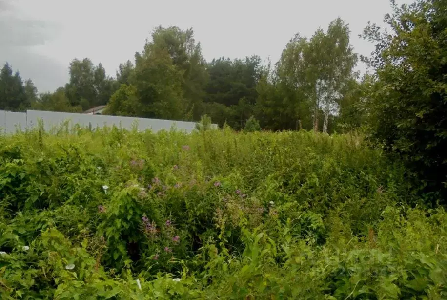 Участок в Московская область, Дмитровский муниципальный округ, д. ... - Фото 1