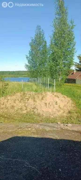Участок в Новгородская область, Чудовский муниципальный район, ... - Фото 1