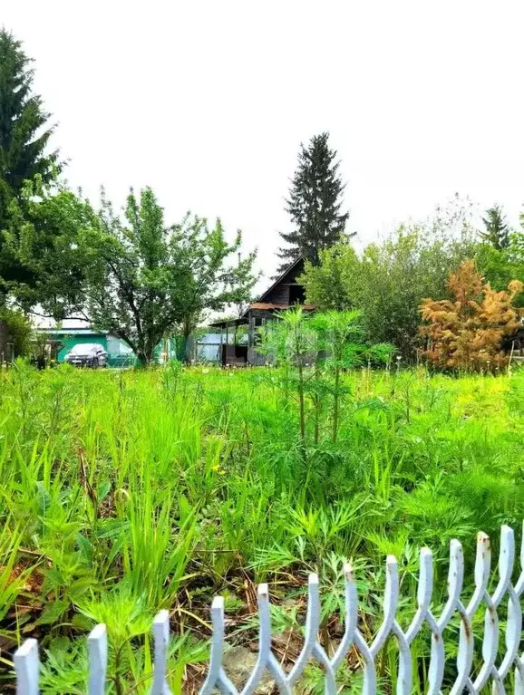 Участок в Свердловская область, Березовский городской округ, пос. ... - Фото 1