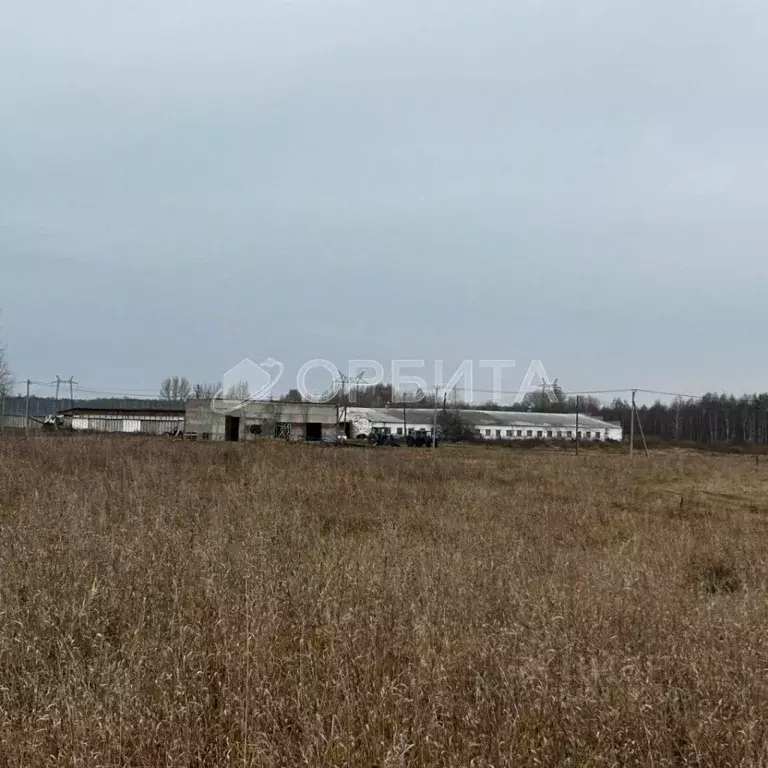 Участок в Тюменская область, Тюменский муниципальный округ, ... - Фото 0