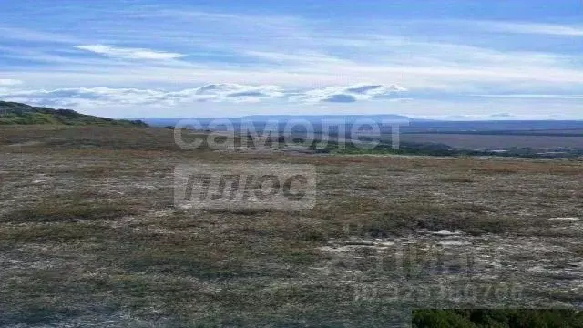Участок в Крым, Феодосия муниципальный округ, с. Береговое ул. ... - Фото 1