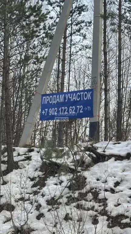 Участок в Иркутская область, Иркутский муниципальный округ, д. ... - Фото 2