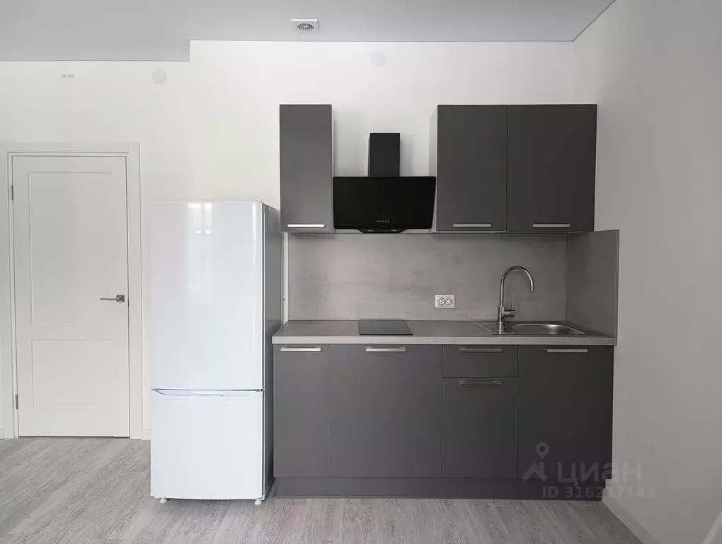 Студия Санкт-Петербург Пулковское ш., 95к3 (26.0 м) - Фото 0