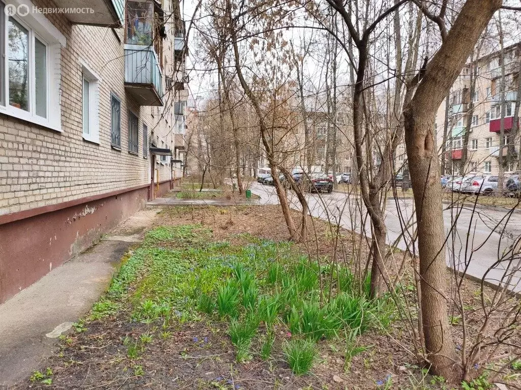 2-комнатная квартира: Королёв, Кооперативная улица, 6 (42 м) - Фото 1