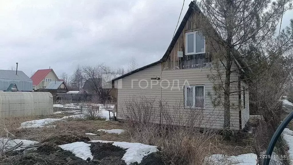 Дом в Колыванский район, СТ Надежда, 5-я улица, 90 (36 м) - Фото 1