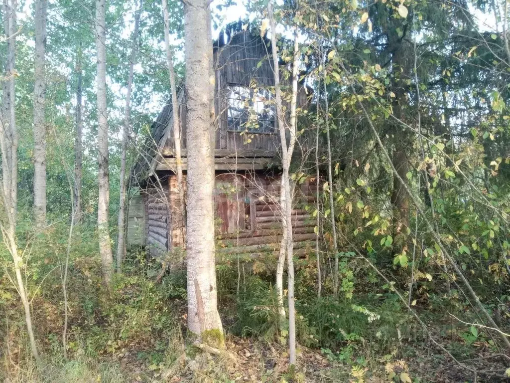 Участок в Ленинградская область, Киришский район, Кусинское с/пос, ... - Фото 0