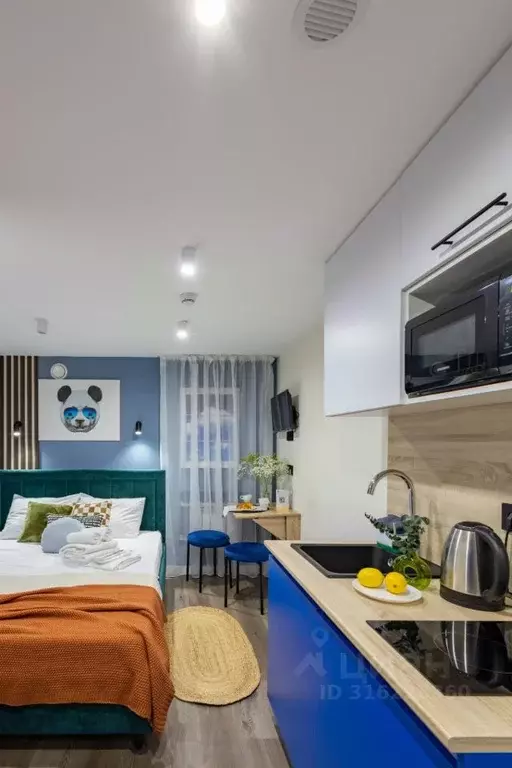 Комната Москва ул. Малая Грузинская, 3-9 (11.0 м) - Фото 2