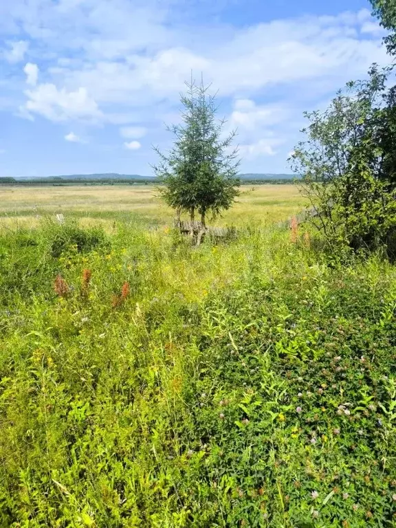 Участок в Башкортостан, Нуримановский район, Красногорский сельсовет, ... - Фото 2