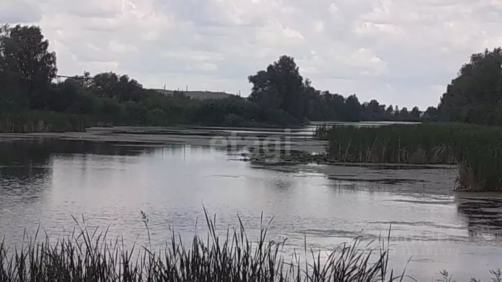 Участок в Новосибирская область, Новосибирский район, Криводановский ... - Фото 0