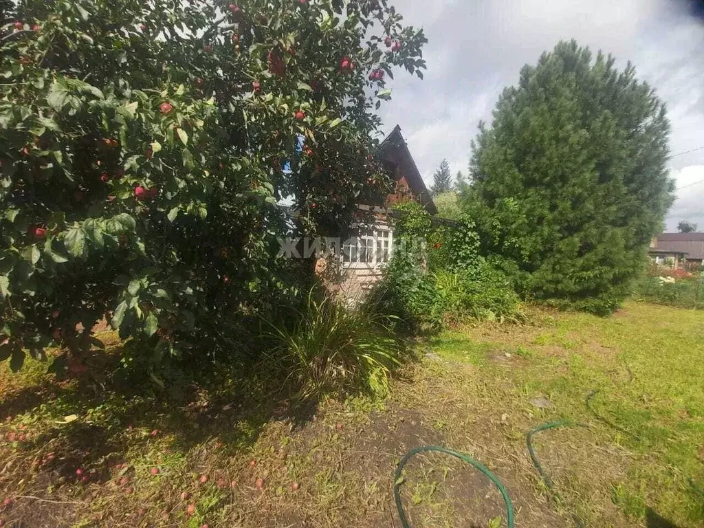 Дом в Новосибирская область, Новосибирск Парус СНТ,  (40 м) - Фото 0