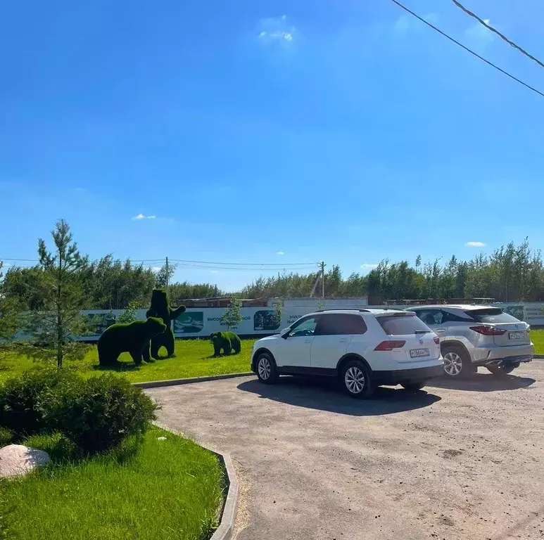 Участок в Московская область, Раменский муниципальный округ, Фенино ... - Фото 2