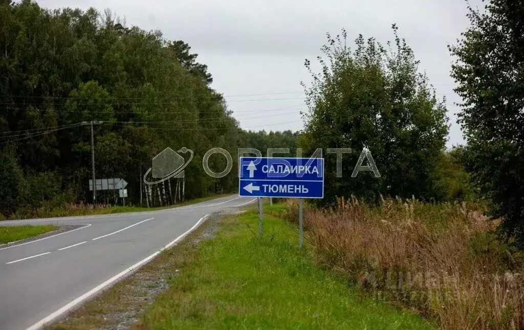 Участок в Тюменская область, Тюменский район, с. Салаирка Лесная ул. ... - Фото 0