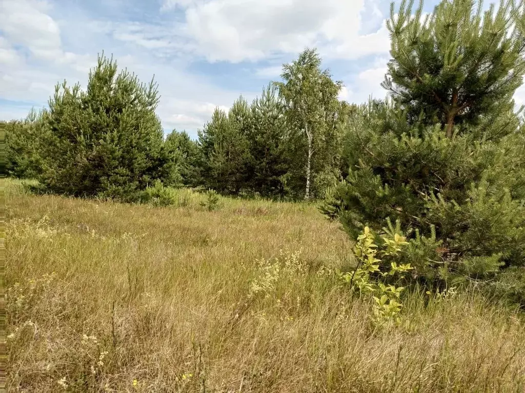 Участок в Нижегородская область, Сокольский городской округ, д. ... - Фото 0