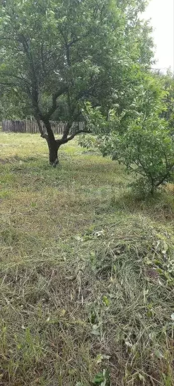 Участок в Тюменская область, Нижнетавдинский район, пос. Лесозаводский ... - Фото 1