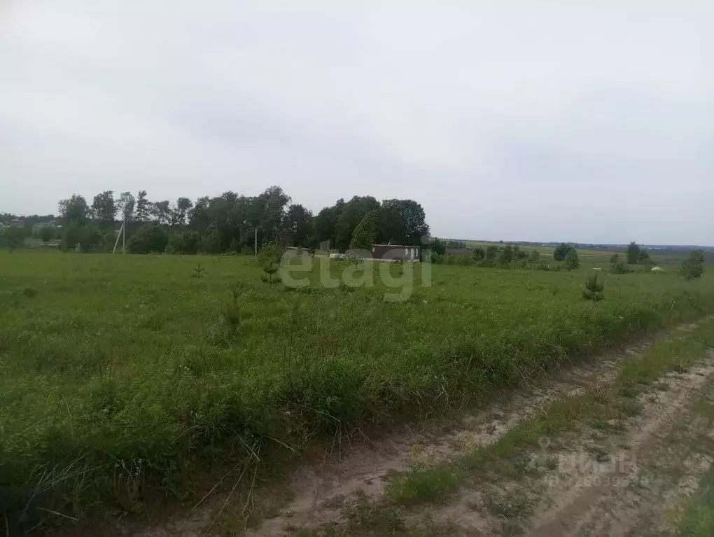 Участок в Брянская область, Брянский район, Отрадненское с/пос, с. ... - Фото 1